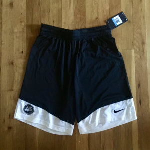nike team shorts